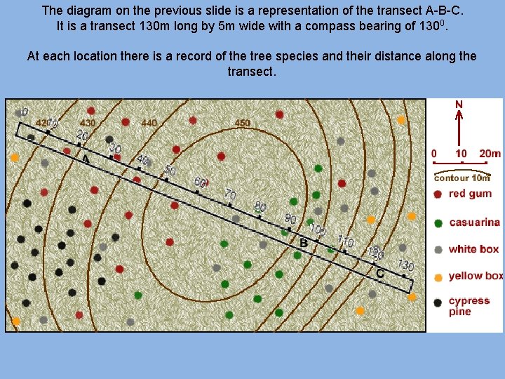The diagram on the previous slide is a representation of the transect A-B-C. It