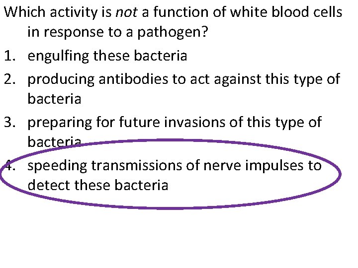 Which activity is not a function of white blood cells in response to a