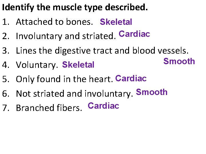 Identify the muscle type described. 1. Attached to bones. Skeletal 2. Involuntary and striated.