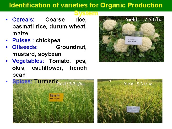 Identification of varieties for Organic Production System • Cereals: Coarse rice, basmati rice, durum