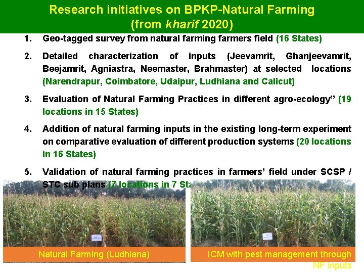 Research initiatives on BPKP-Natural Farming (from kharif 2020) 1. Geo-tagged survey from natural farming