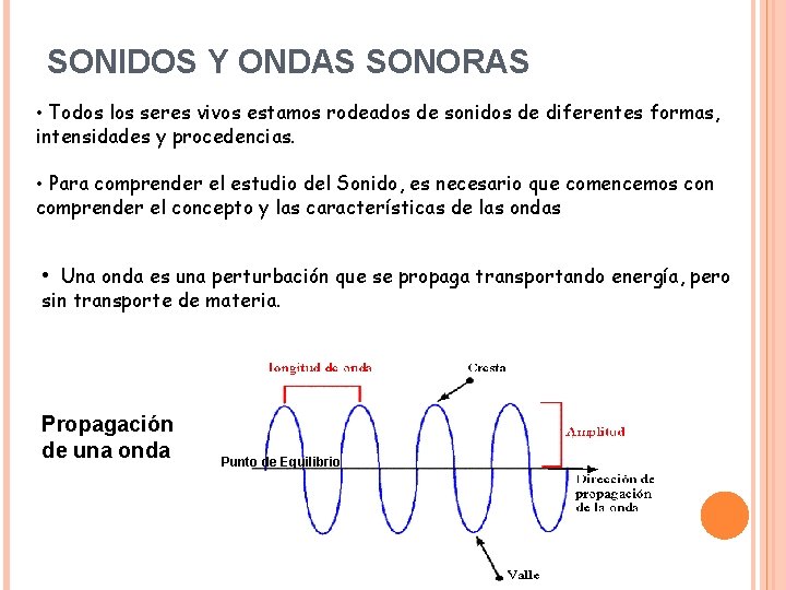 SONIDOS Y ONDAS SONORAS • Todos los seres vivos estamos rodeados de sonidos de