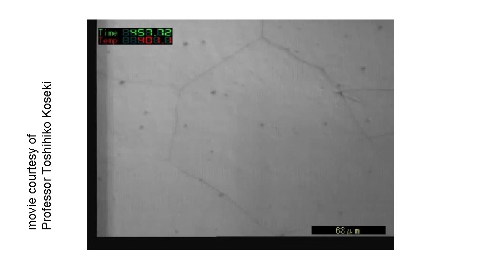 movie courtesy of Professor Toshihiko Koseki 