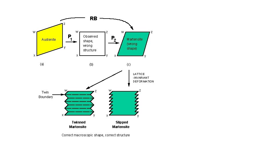 RB z w w P y x x w Observed shape, wrong structure 1
