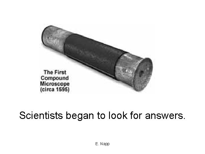 Scientists began to look for answers. E. Napp 