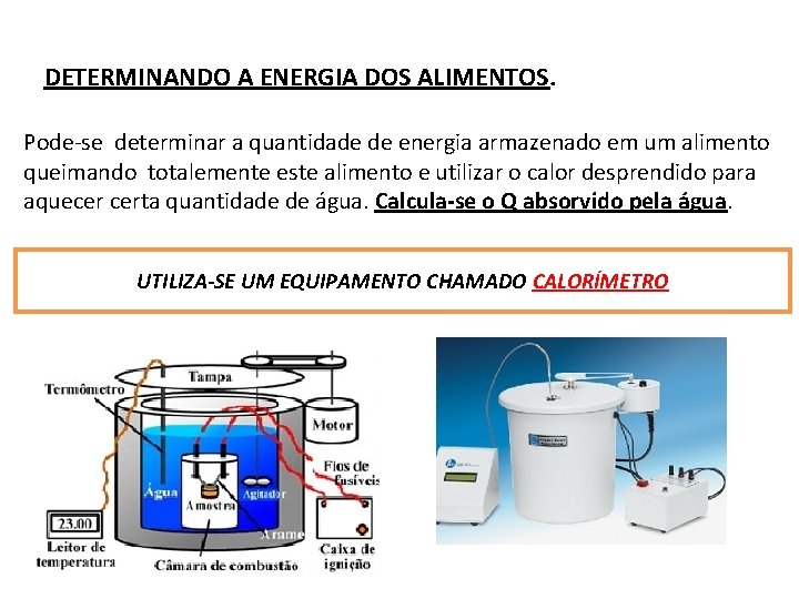 DETERMINANDO A ENERGIA DOS ALIMENTOS. Pode-se determinar a quantidade de energia armazenado em um