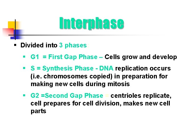 Interphase § Divided into 3 phases: § G 1 = First Gap Phase –
