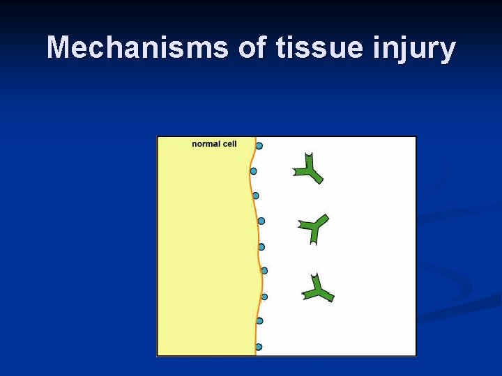 Mechanisms of tissue injury 