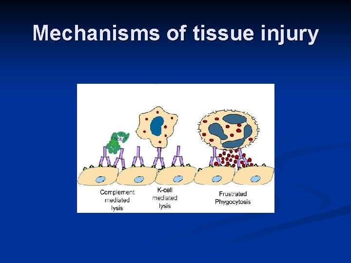 Mechanisms of tissue injury 