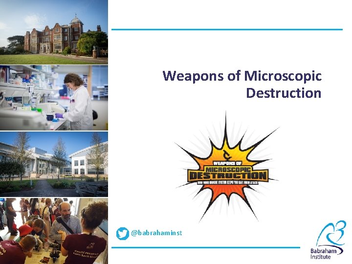 Weapons of Microscopic Destruction @babrahaminst 