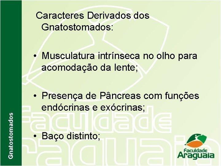 Caracteres Derivados Gnatostomados: Gnatostomados • Musculatura intrínseca no olho para acomodação da lente; •