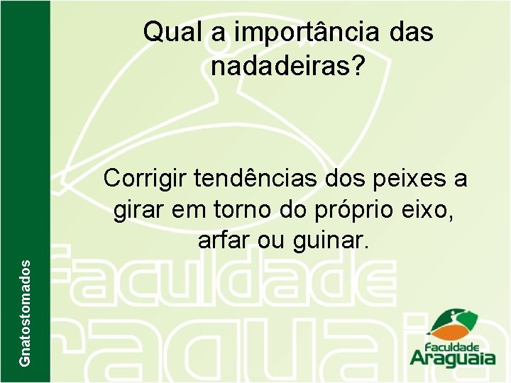 Qual a importância das nadadeiras? Gnatostomados Corrigir tendências dos peixes a girar em torno