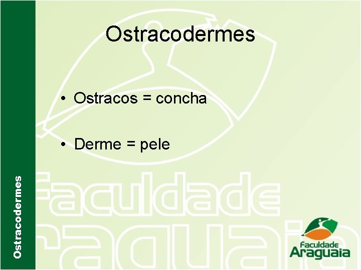 Ostracodermes • Ostracos = concha Ostracodermes • Derme = pele 