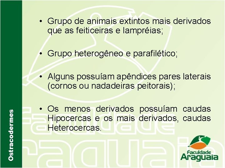  • Grupo de animais extintos mais derivados que as feiticeiras e lampréias; •