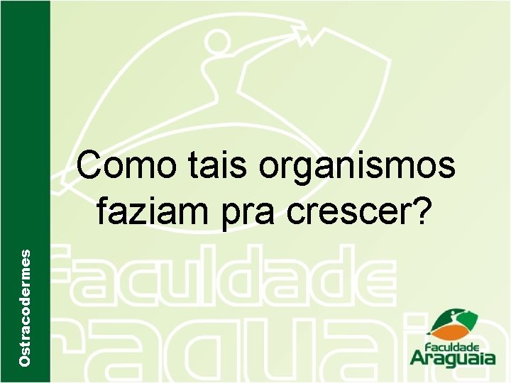 Ostracodermes Como tais organismos faziam pra crescer? 