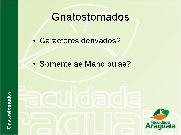 Gnatostomados • Caracteres derivados? Gnatostomados • Somente as Mandíbulas? 