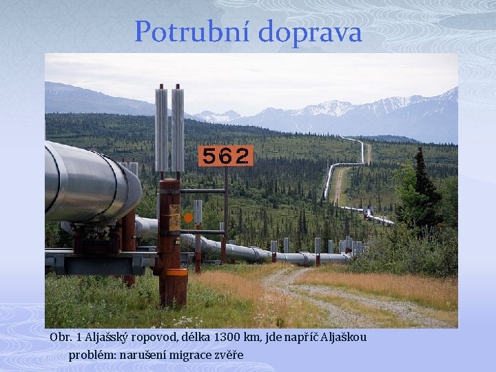 Potrubní doprava Obr. 1 Aljašský ropovod, délka 1300 km, jde napříč Aljaškou problém: narušení