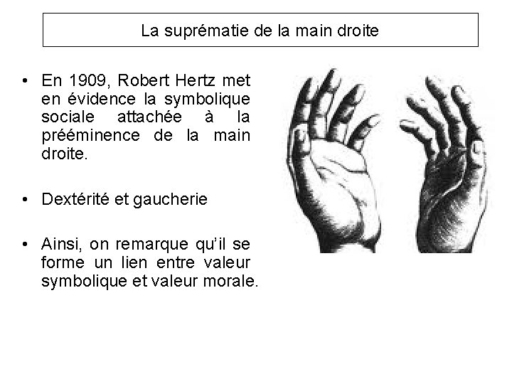 La suprématie de la main droite • En 1909, Robert Hertz met en évidence