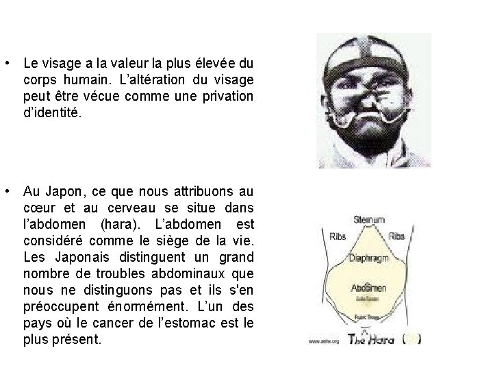  • Le visage a la valeur la plus élevée du corps humain. L’altération