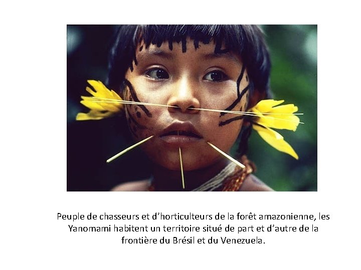 Peuple de chasseurs et d’horticulteurs de la forêt amazonienne, les Yanomami habitent un territoire