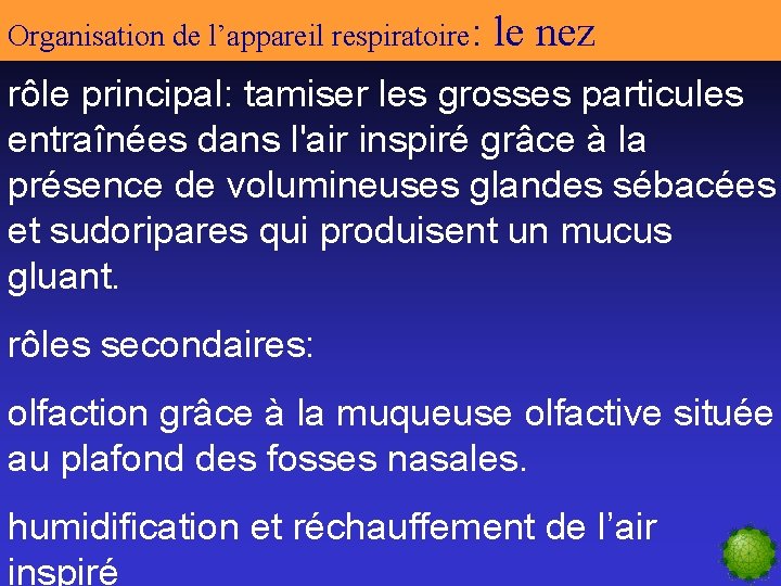 Organisation de l’appareil respiratoire: le nez rôle principal: tamiser les grosses particules entraînées dans