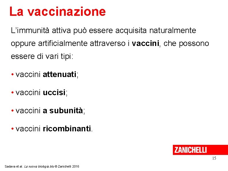 La vaccinazione L’immunità attiva può essere acquisita naturalmente oppure artificialmente attraverso i vaccini, che