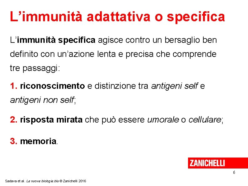 L’immunità adattativa o specifica L’immunità specifica agisce contro un bersaglio ben definito con un’azione