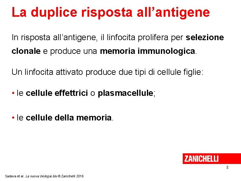 La duplice risposta all’antigene In risposta all’antigene, il linfocita prolifera per selezione clonale e