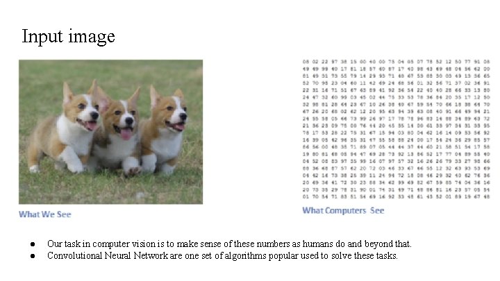 Input image ● ● Our task in computer vision is to make sense of Input image ● ● Our task in computer vision is to make sense of