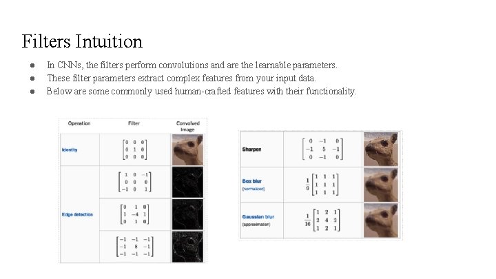 Filters Intuition ● ● ● In CNNs, the filters perform convolutions and are the Filters Intuition ● ● ● In CNNs, the filters perform convolutions and are the