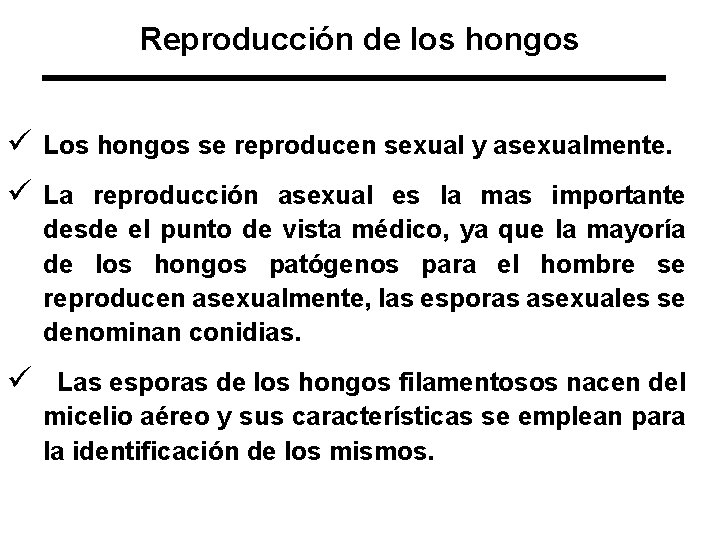 Reproducción de los hongos ü Los hongos se reproducen sexual y asexualmente. ü La