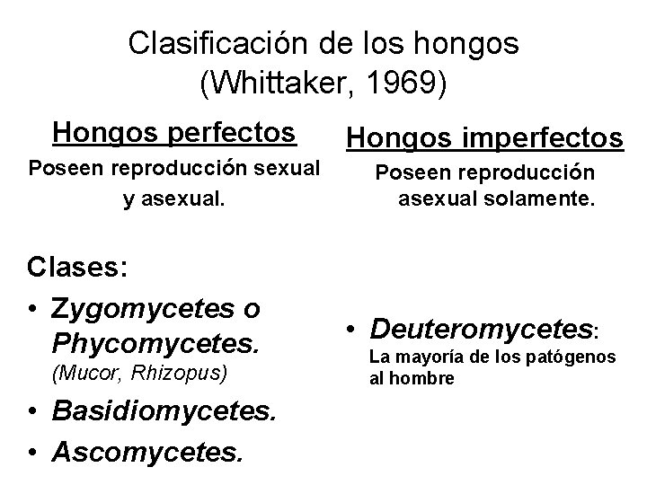 Clasificación de los hongos (Whittaker, 1969) Hongos perfectos Hongos imperfectos Poseen reproducción sexual y