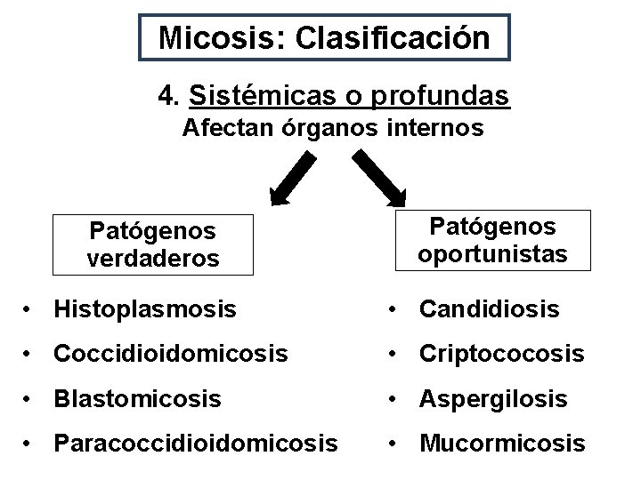 Micosis: Clasificación 4. Sistémicas o profundas Afectan órganos internos Patógenos verdaderos Patógenos oportunistas •