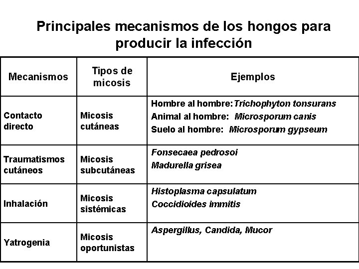 Principales mecanismos de los hongos para producir la infección Mecanismos Tipos de micosis Contacto