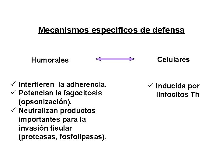 Mecanismos específicos de defensa Humorales ü Interfieren la adherencia. ü Potencian la fagocitosis (opsonización).