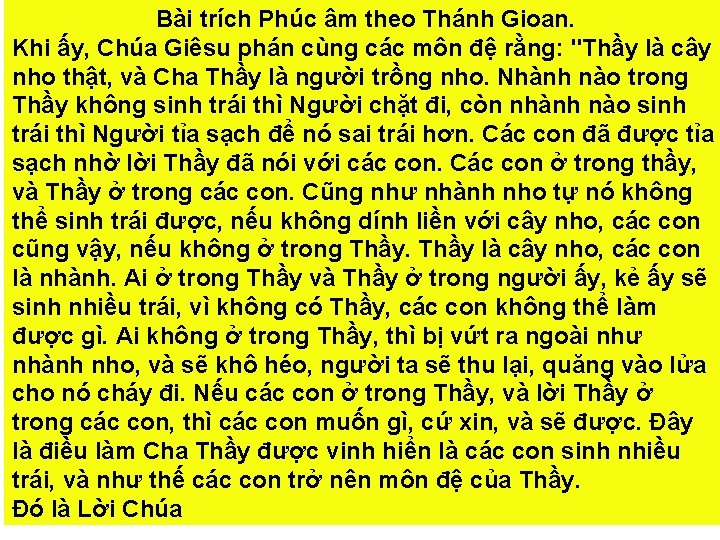 Bài trích Phúc âm theo Thánh Gioan. Khi ấy, Chúa Giêsu phán cùng các