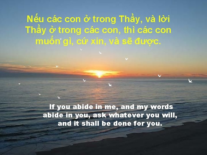 Nếu các con ở trong Thầy, và lời Thầy ở trong các con, thì