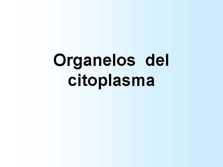 Organelos del citoplasma Organelos del citoplasma