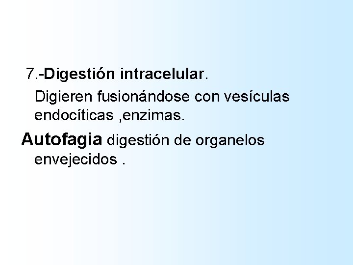 7. -Digestión intracelular. Digieren fusionándose con vesículas endocíticas , enzimas. Autofagia digestión de 7. -Digestión intracelular. Digieren fusionándose con vesículas endocíticas , enzimas. Autofagia digestión de