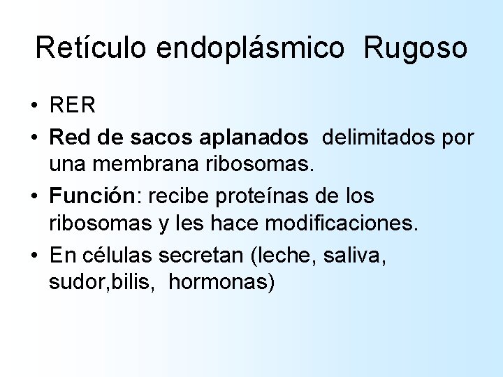 Retículo endoplásmico Rugoso • RER • Red de sacos aplanados delimitados por una membrana Retículo endoplásmico Rugoso • RER • Red de sacos aplanados delimitados por una membrana