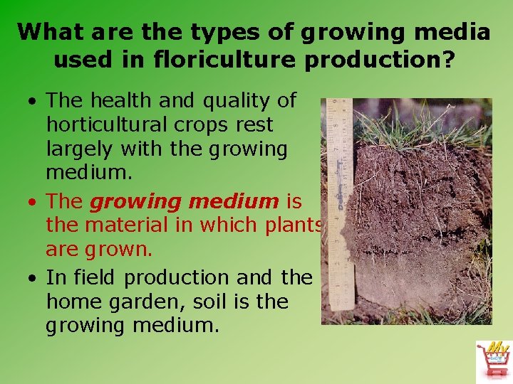 What are the types of growing media used in floriculture production? • The health