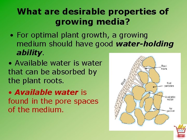 What are desirable properties of growing media? • For optimal plant growth, a growing