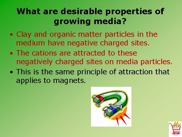 What are desirable properties of growing media? • Clay and organic matter particles in