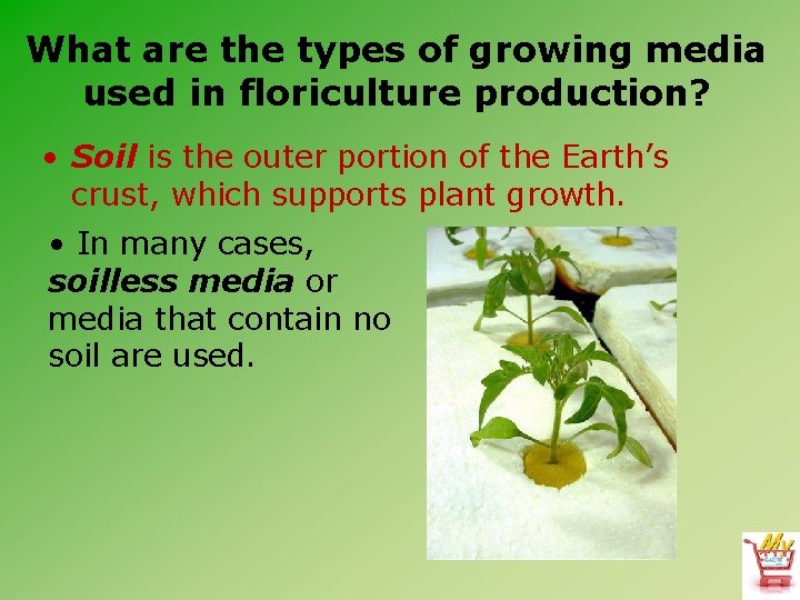 What are the types of growing media used in floriculture production? • Soil is