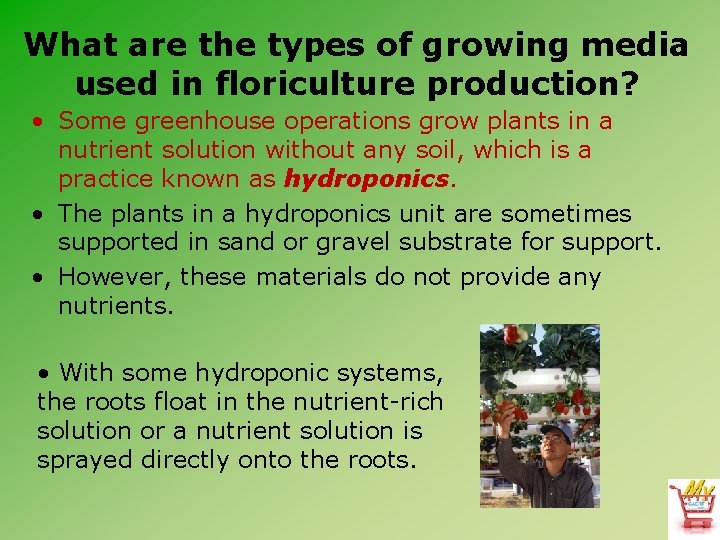 What are the types of growing media used in floriculture production? • Some greenhouse