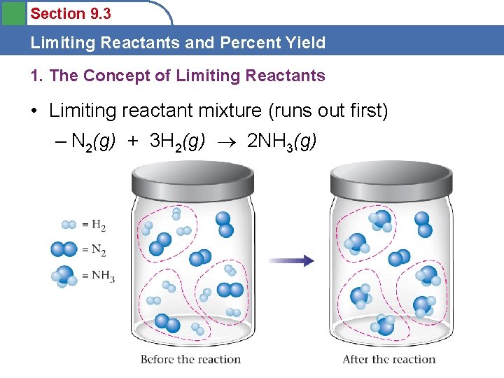 Section 9. 3 Limiting Reactants and Percent Yield 1. The Concept of Limiting Reactants
