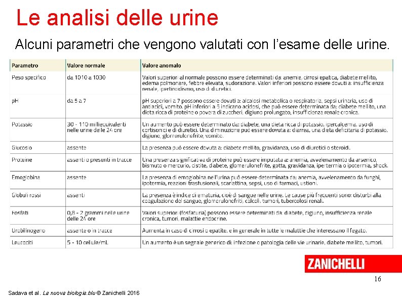 Le analisi delle urine Alcuni parametri che vengono valutati con l’esame delle urine. 16