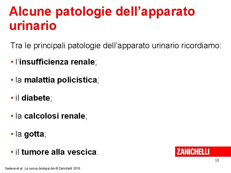 Alcune patologie dell’apparato urinario Tra le principali patologie dell’apparato urinario ricordiamo: • l’insufficienza renale;