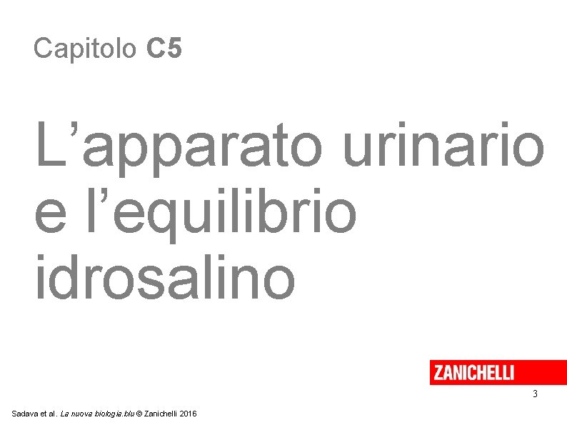 Capitolo C 5 L’apparato urinario e l’equilibrio idrosalino 3 Sadava et al. La nuova