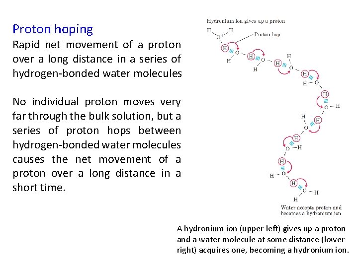 Proton hoping Rapid net movement of a proton over a long distance in a